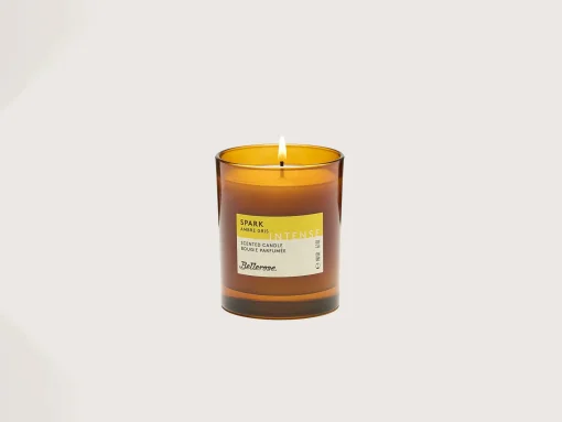 Bougie Ambre Gris