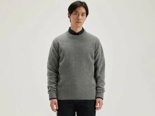 Pull Col Rond Donoon