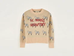 Pull Col Rond Grebe
