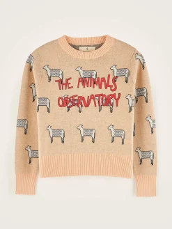 Pull Col Rond Grebe