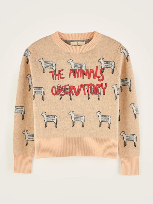 Pull Col Rond Grebe