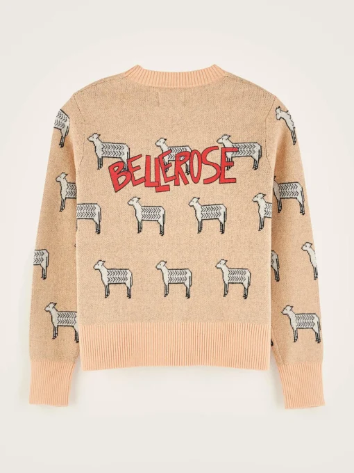 Pull Col Rond Grebe