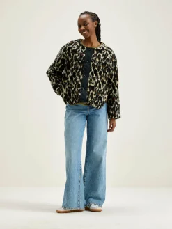 Veste Hari